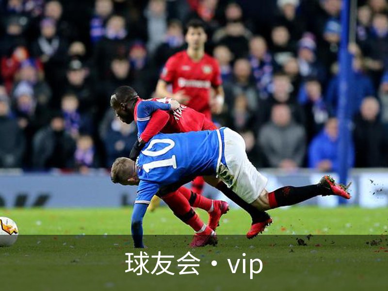 关于球友会·vip